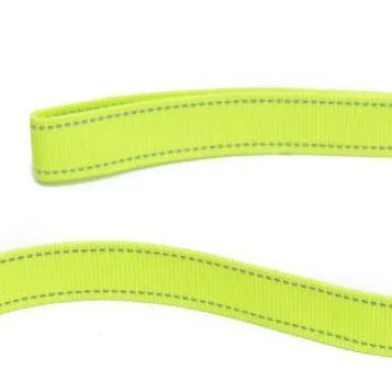 Neon Webbing Dog Lead | Hi Viz