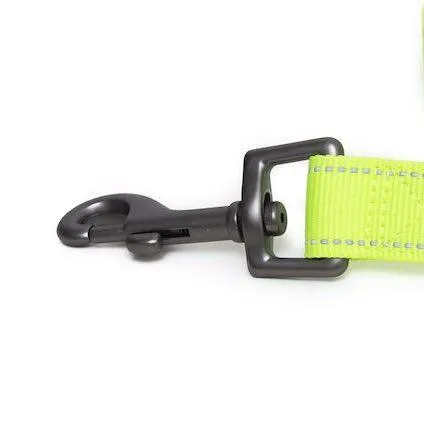 Neon Webbing Dog Lead | Hi Viz