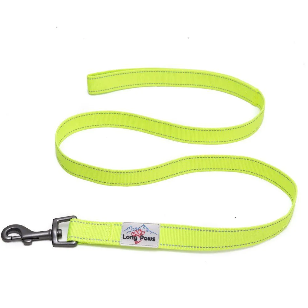 Neon Webbing Dog Lead | Hi Viz