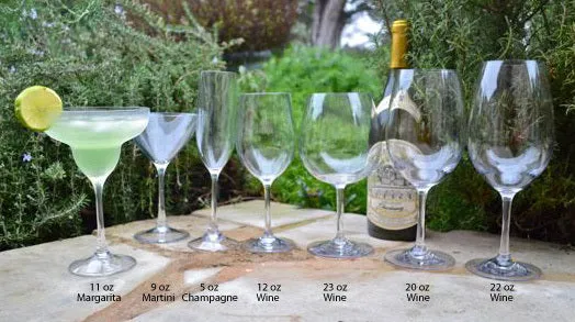 Non-Breakable Tritan Wine Glasses