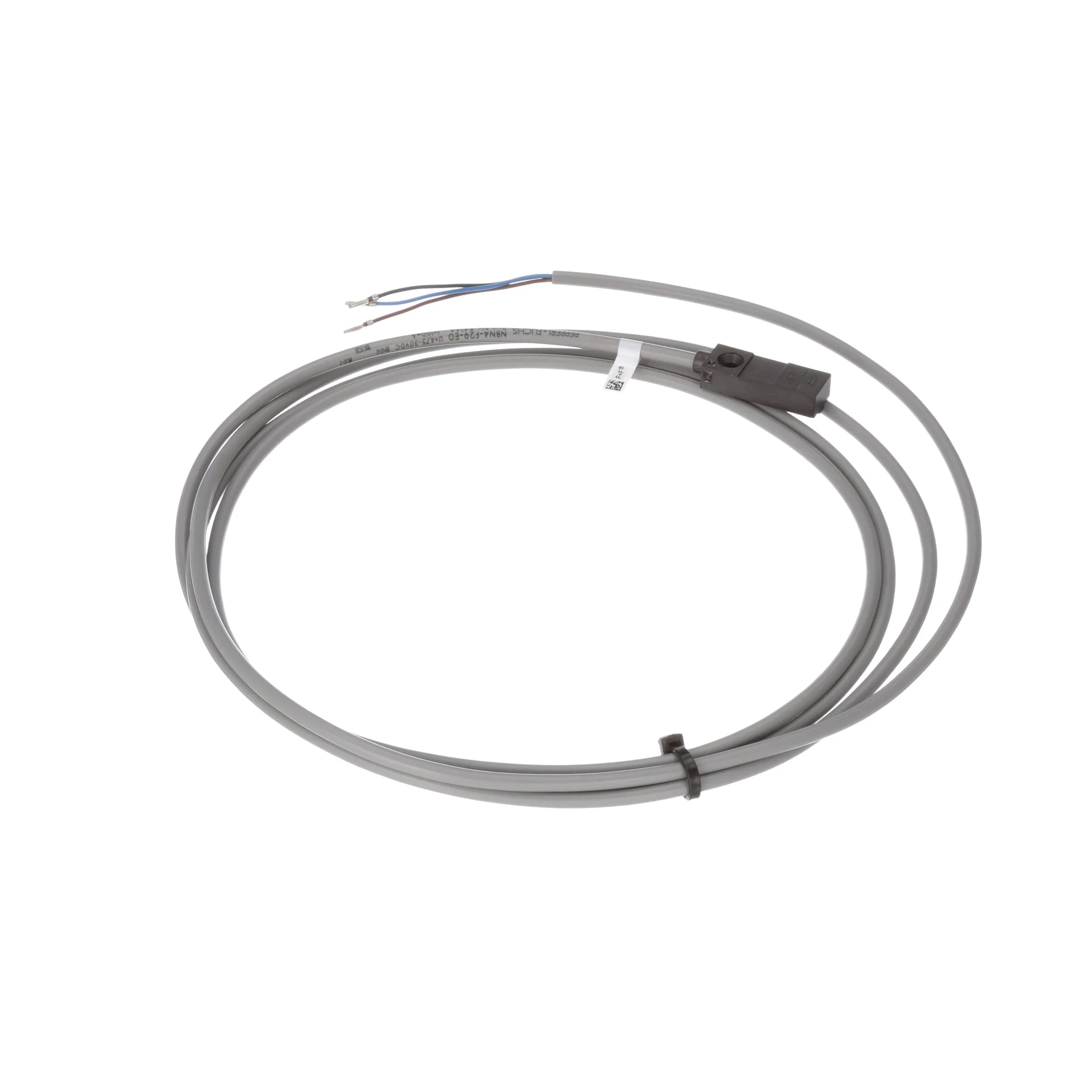 Pepperl Fuchs Factory Automation NBN4-F29-E0