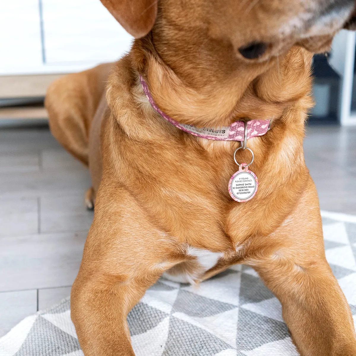 Personalised Marble Pet Name ID Tag