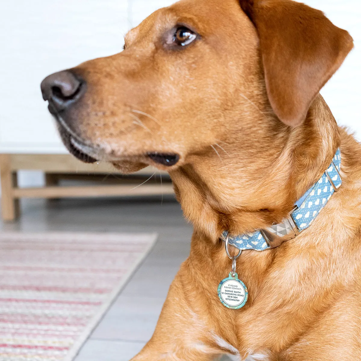 Personalised Marble Pet Name ID Tag