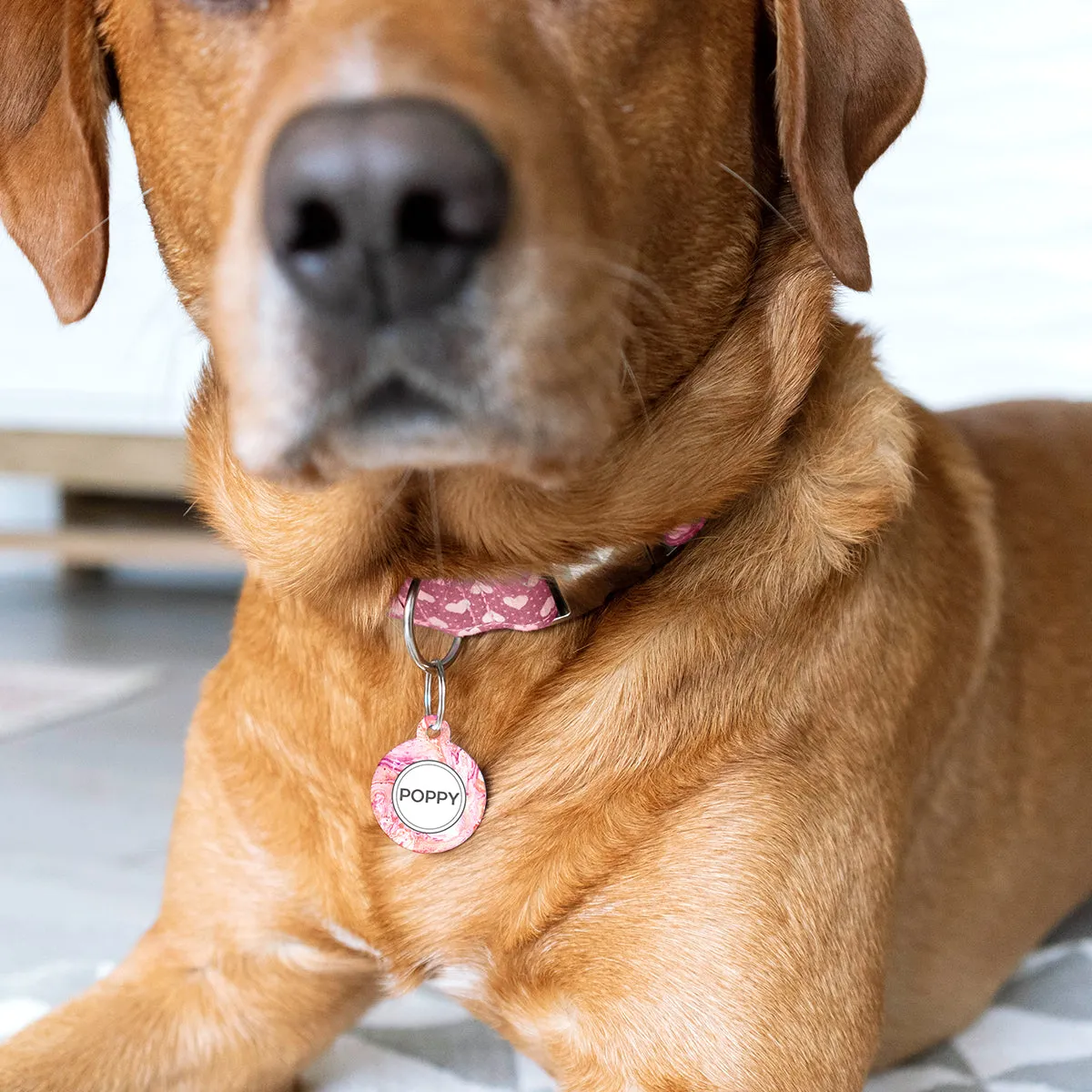 Personalised Marble Pet Name ID Tag