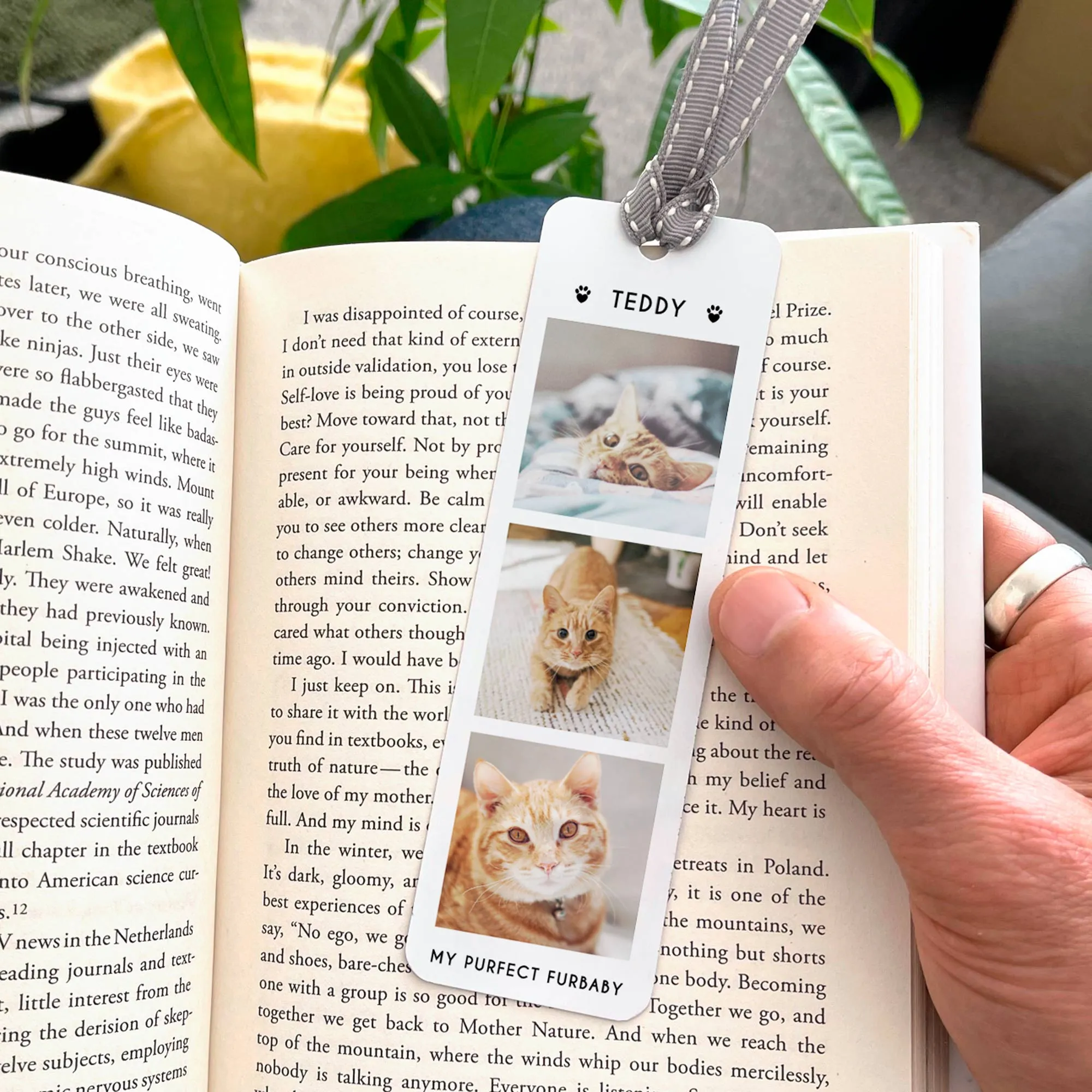 Personalised Pet Cat Photo Bookmark