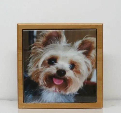 Personalized Dog Urn Pet Urn Pet Memorial Keepsake Box Custom Small Cremation Urn Custom Photo Tile Red Alder  Animal Cat Urn Up To 25lbs