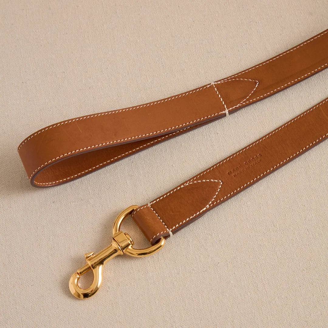 Pet Leash 30 in Luggage
