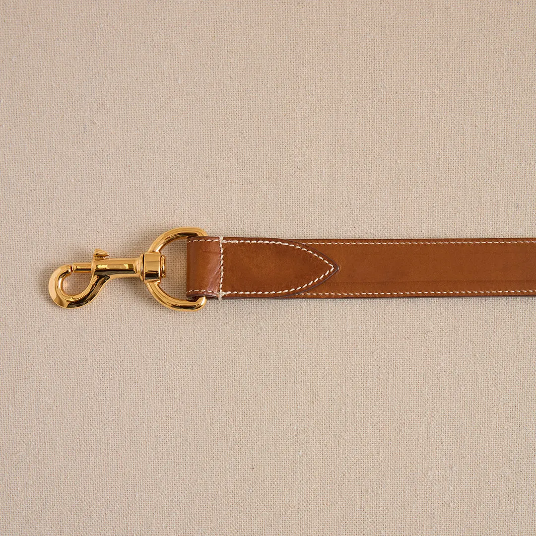 Pet Leash 30 in Luggage