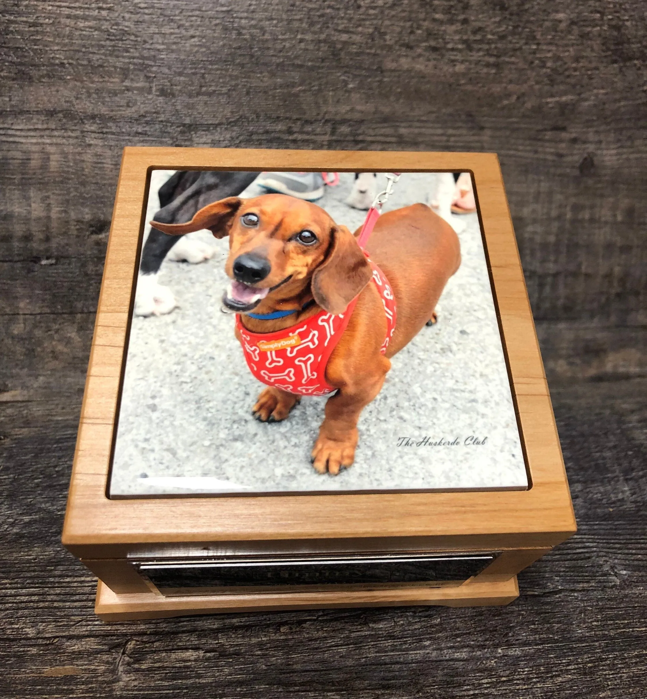 Pet Urn Dog Urn Pet Memorial Keepsake Box Dachshund Urn Yorkie Cremation Urn Custom Photo Tile & Tag Small Dog / Animal Cat Urn Up To 25lbs