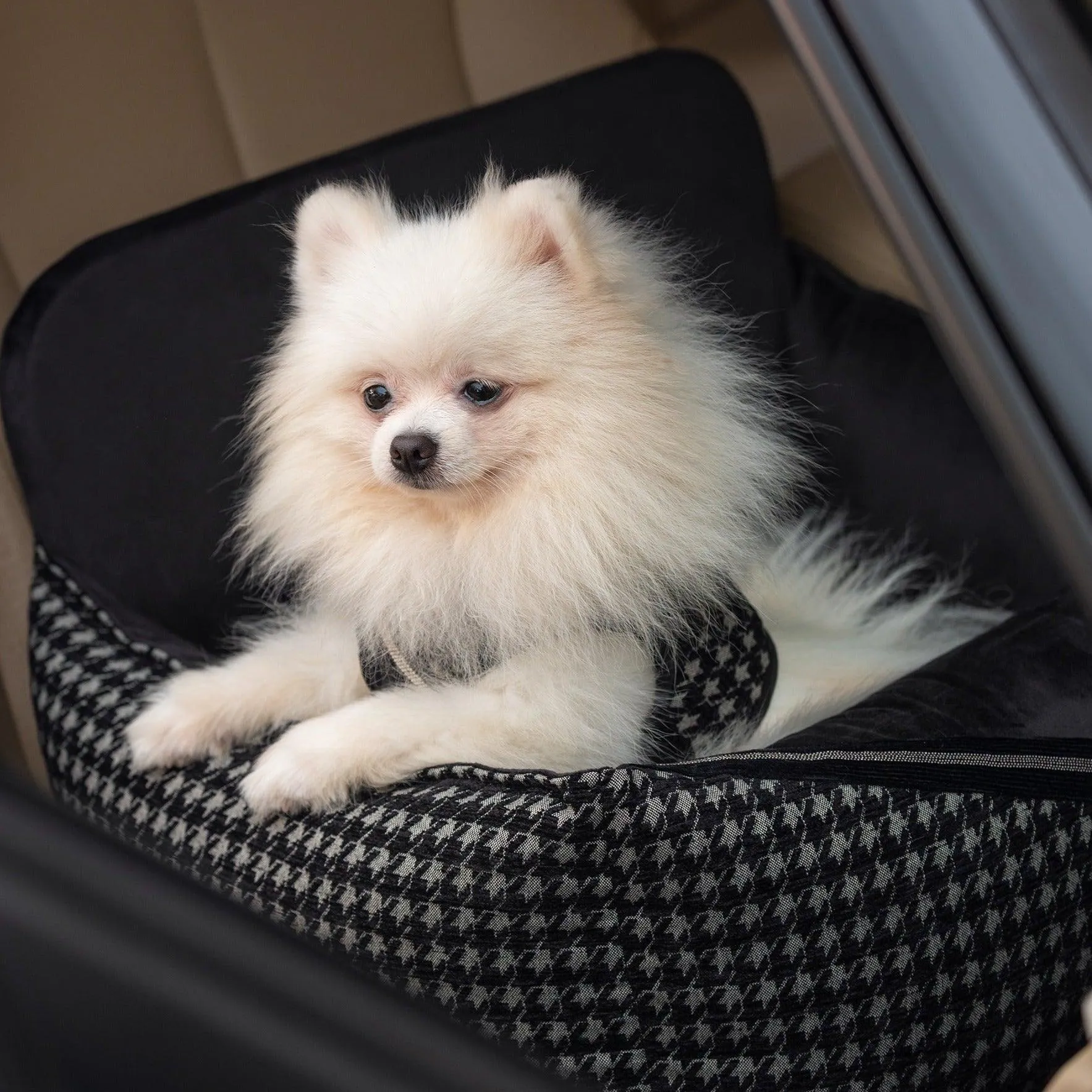 Prestige Black Car Seat LUXURY by Oh Charlie - Black
