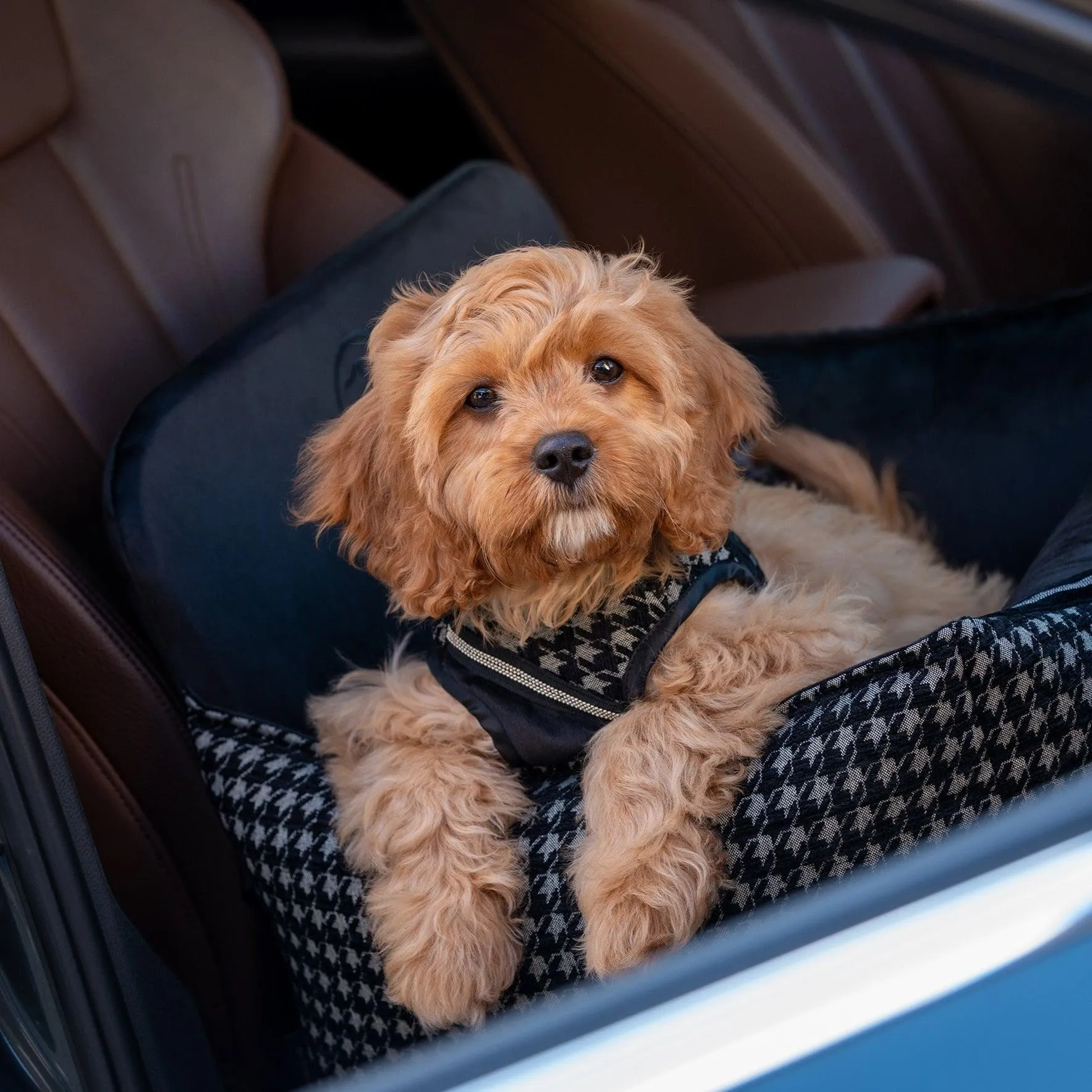 Prestige Black Car Seat LUXURY by Oh Charlie - Black