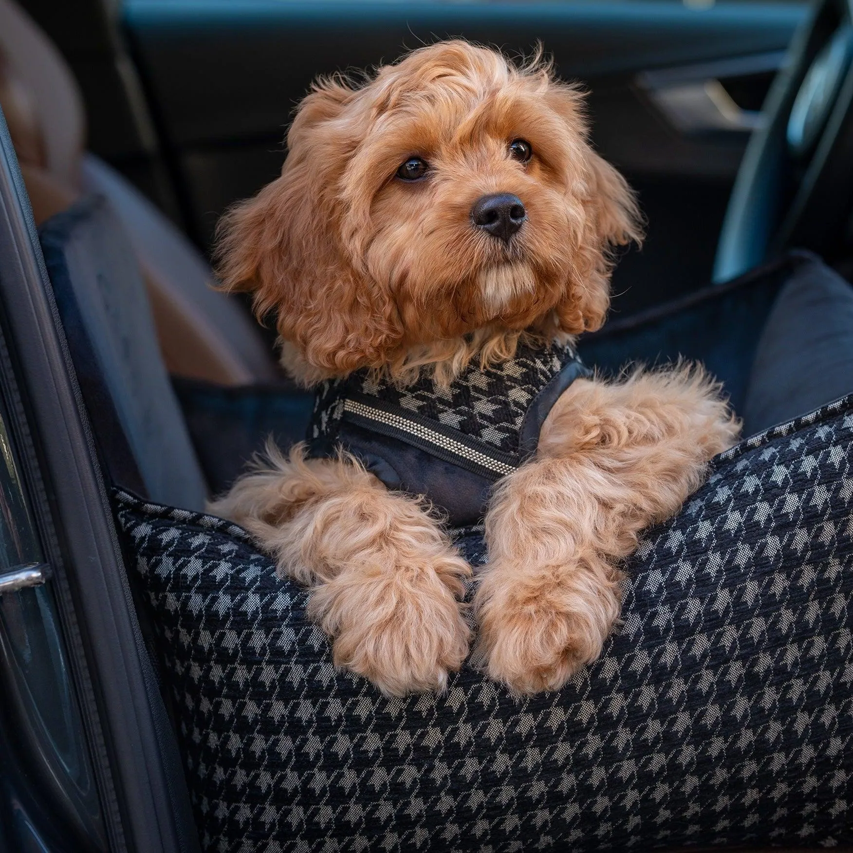 Prestige Black Car Seat LUXURY by Oh Charlie - Black