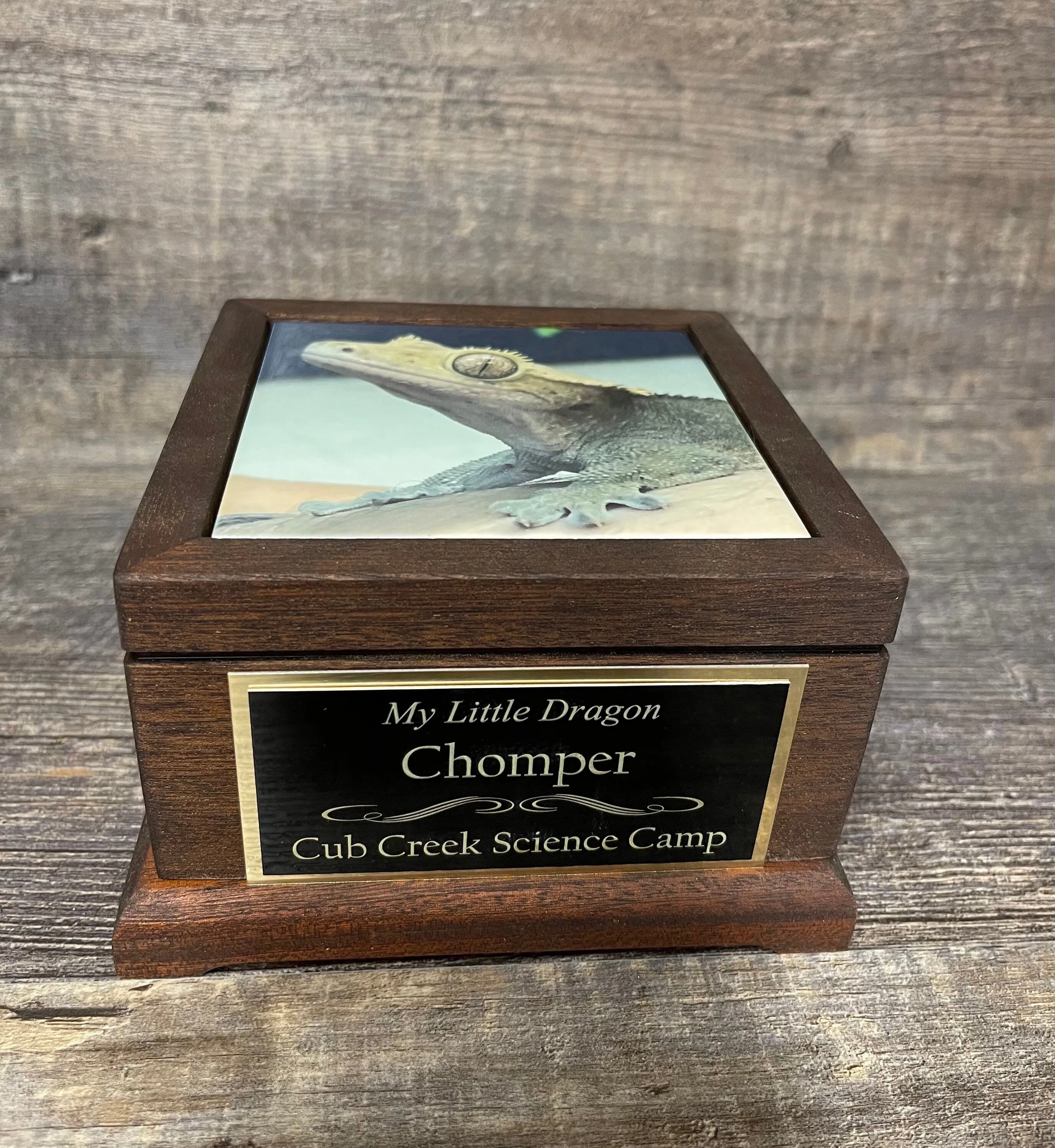 Reptile Urn Bearded Dragon Urn Small Animal Pet MAHOGANY Urn Iguana Urn Gecko Lizard Pet Keepsake Cremation Custom Photo & Engraved To 25lbs