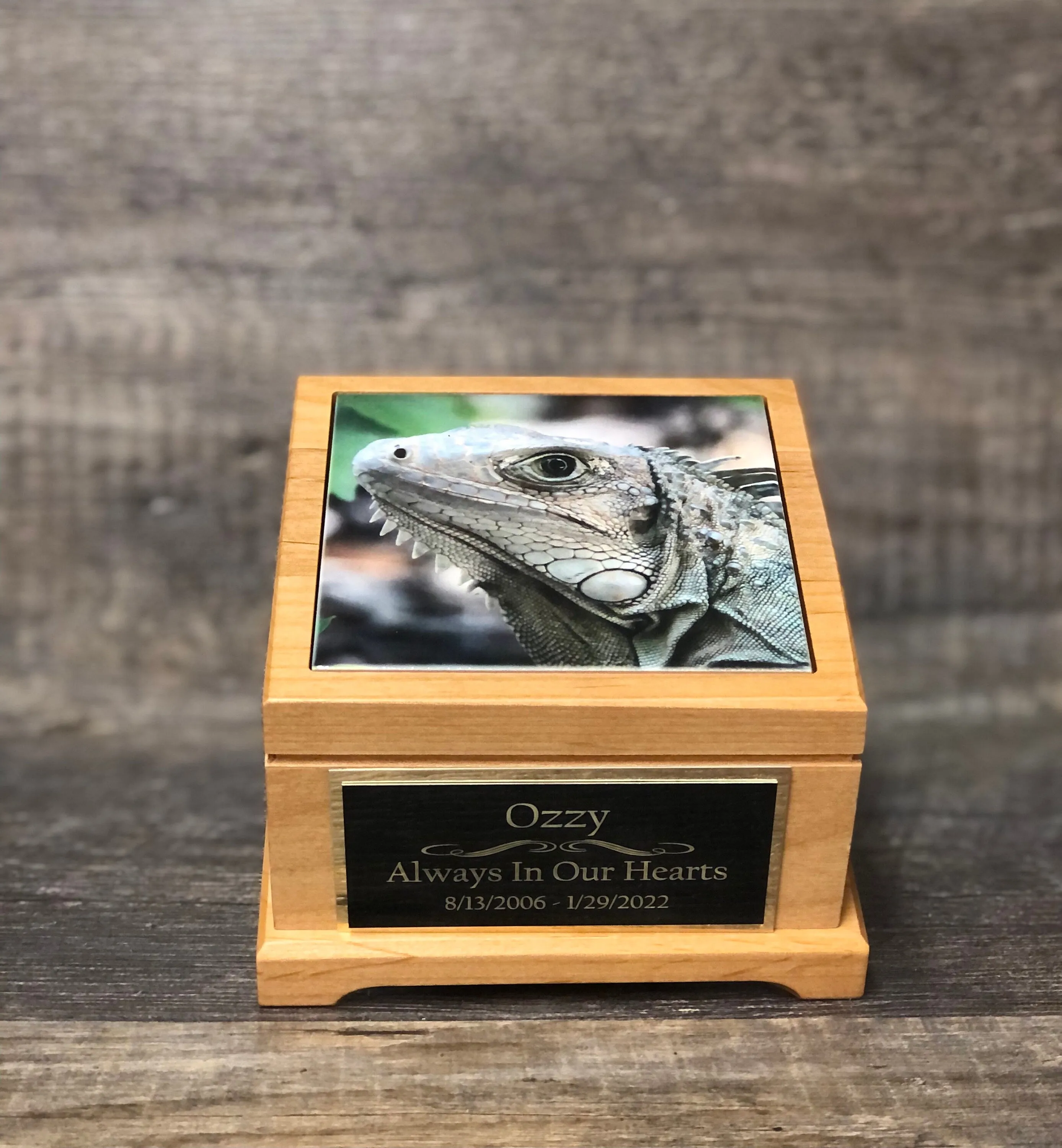 Reptile Urn Iguana Urn Small Animal Pet Urn Snake Urn Pet Memorial Keepsake Box Cremation Urn Custom Photo Tile & Engraved Tag To 25lbs