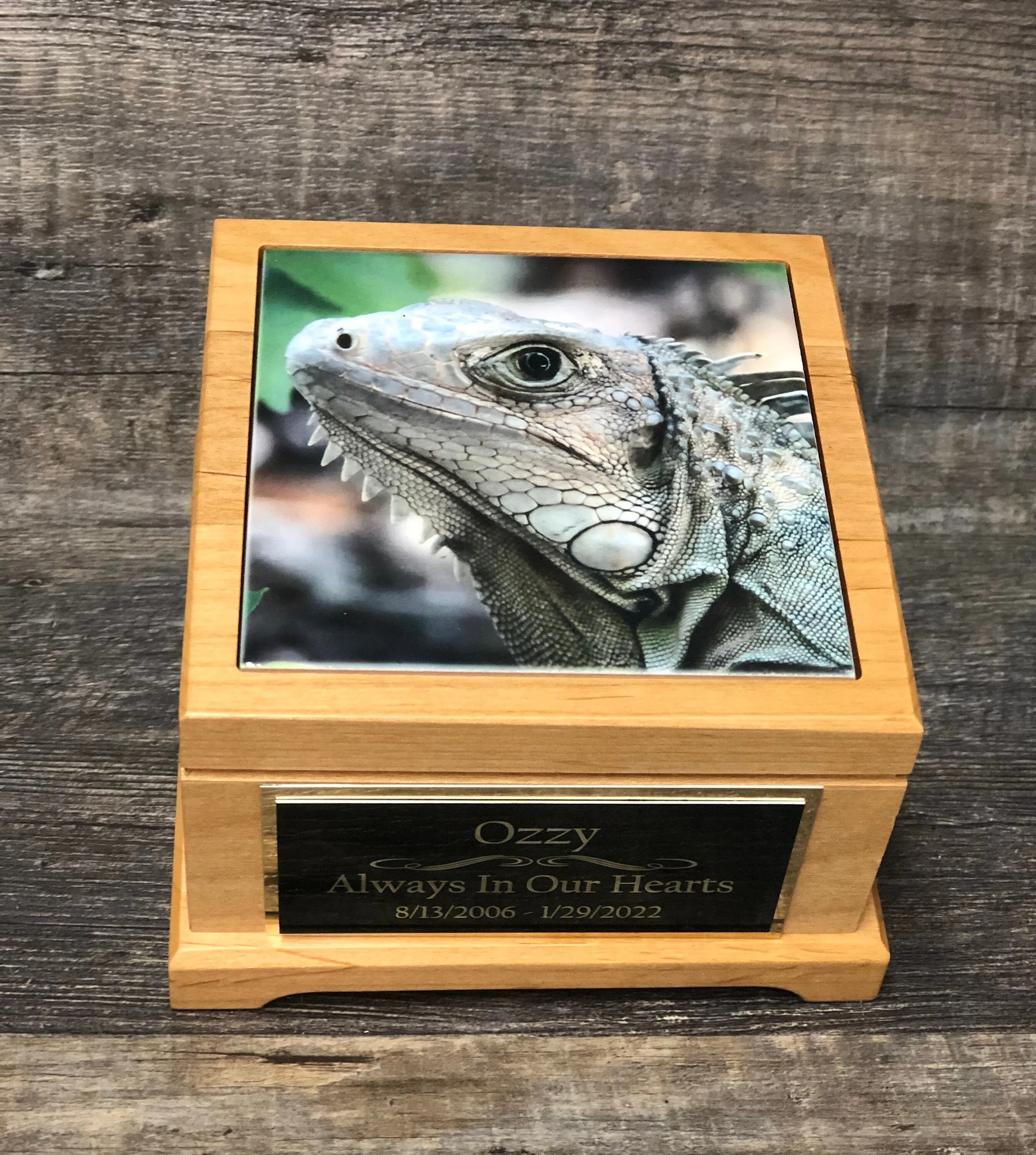 Reptile Urn Iguana Urn Small Animal Pet Urn Snake Urn Pet Memorial Keepsake Box Cremation Urn Custom Photo Tile & Engraved Tag To 25lbs