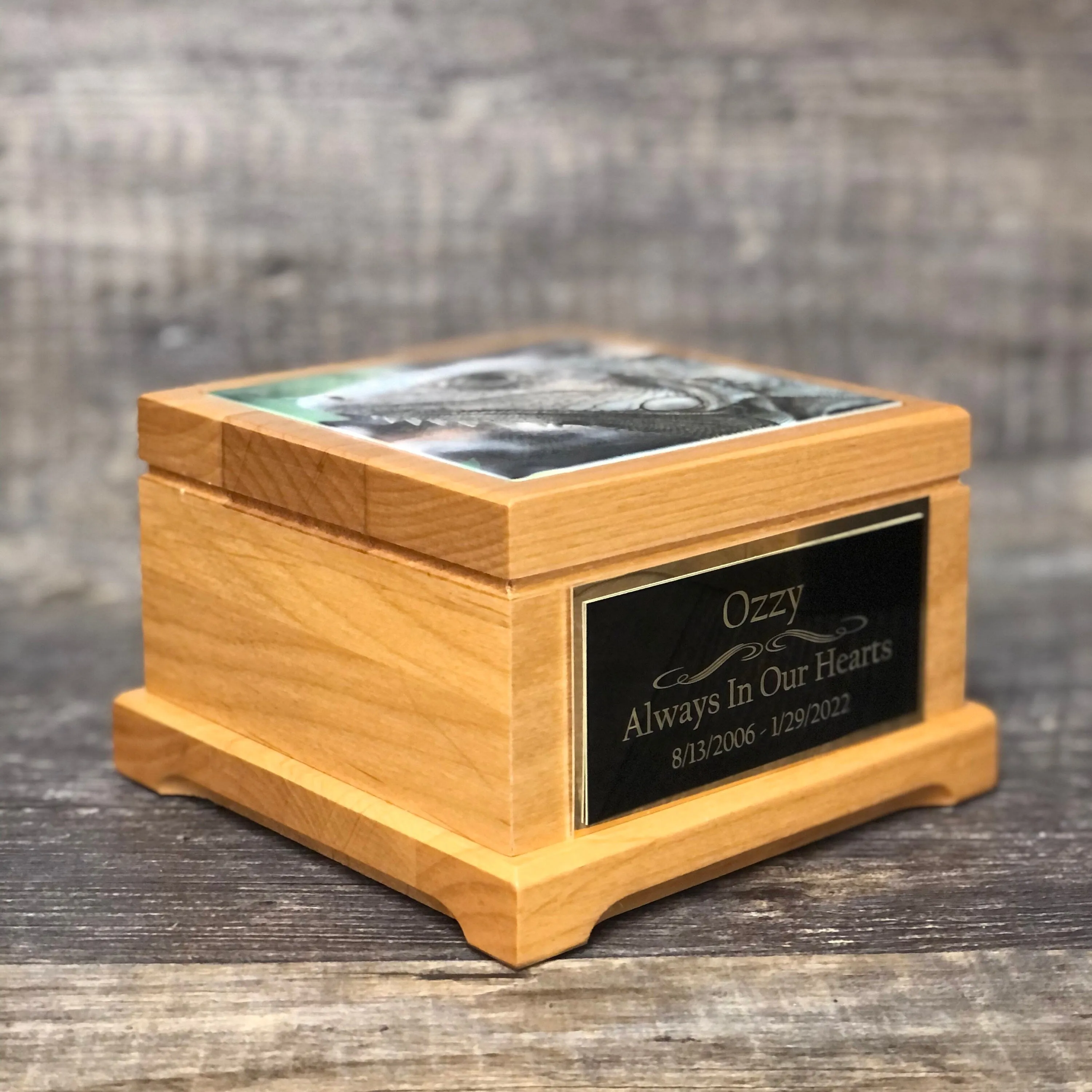 Reptile Urn Iguana Urn Small Animal Pet Urn Snake Urn Pet Memorial Keepsake Box Cremation Urn Custom Photo Tile & Engraved Tag To 25lbs