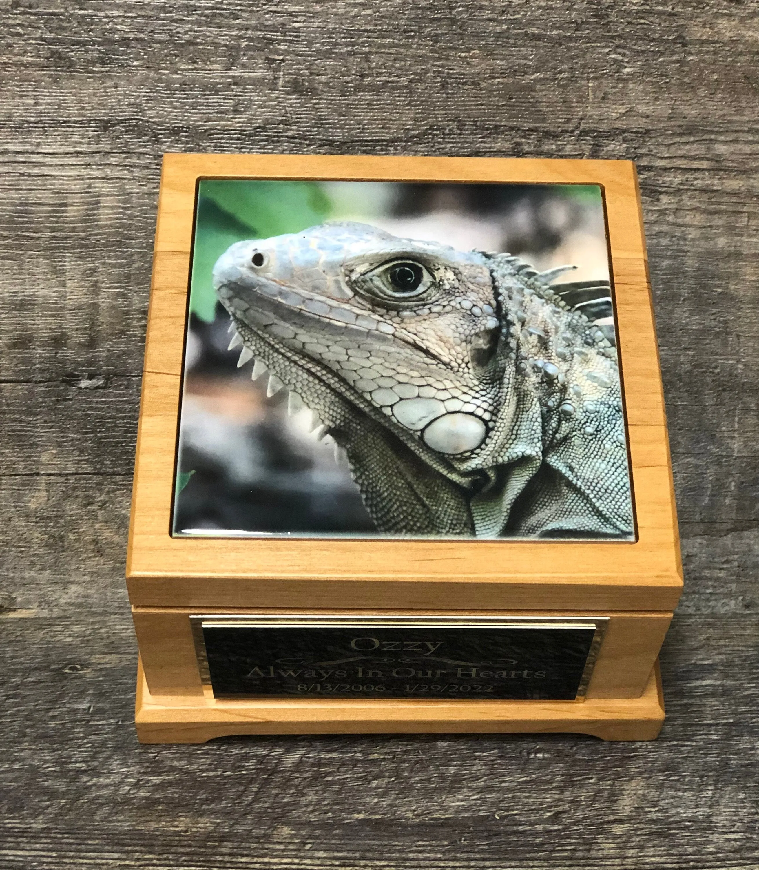 Reptile Urn Iguana Urn Small Animal Pet Urn Snake Urn Pet Memorial Keepsake Box Cremation Urn Custom Photo Tile & Engraved Tag To 25lbs