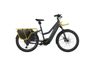 Riese and Muller Multicharger|Mixte2 Electric Cargo Bike