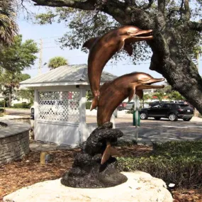 Rising Dolphins Duo