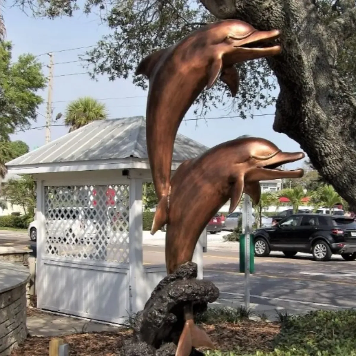 Rising Dolphins Duo