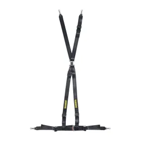 Schroth Rallye 4 ASM Racing Safety Harness