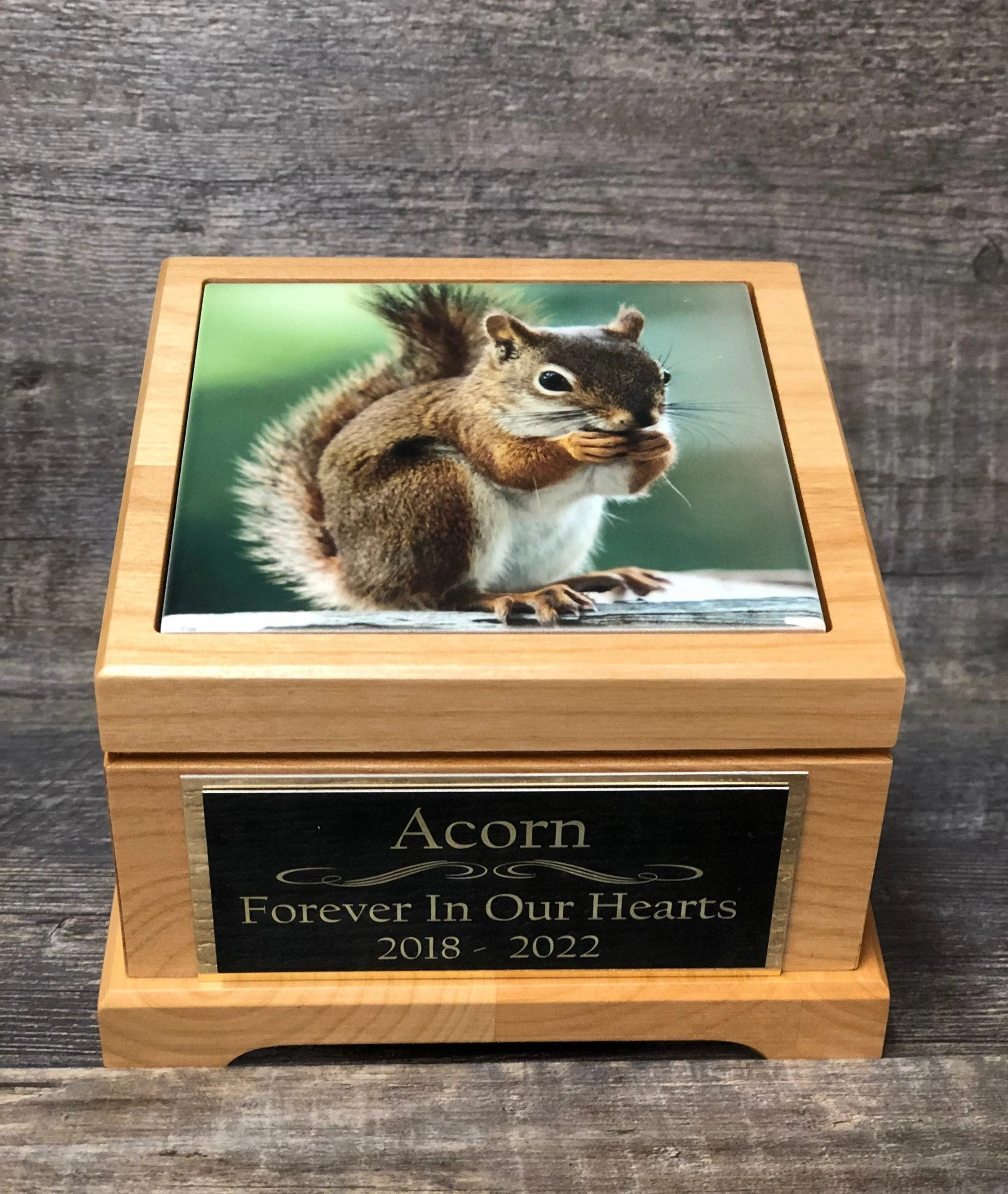 Squirrel Urn Small Animal Pet Urn Rodent Mouse Urn Pet Memorial Keepsake Box Cremation Urn Custom Photo Tile & Engraved Tag To 25lbs